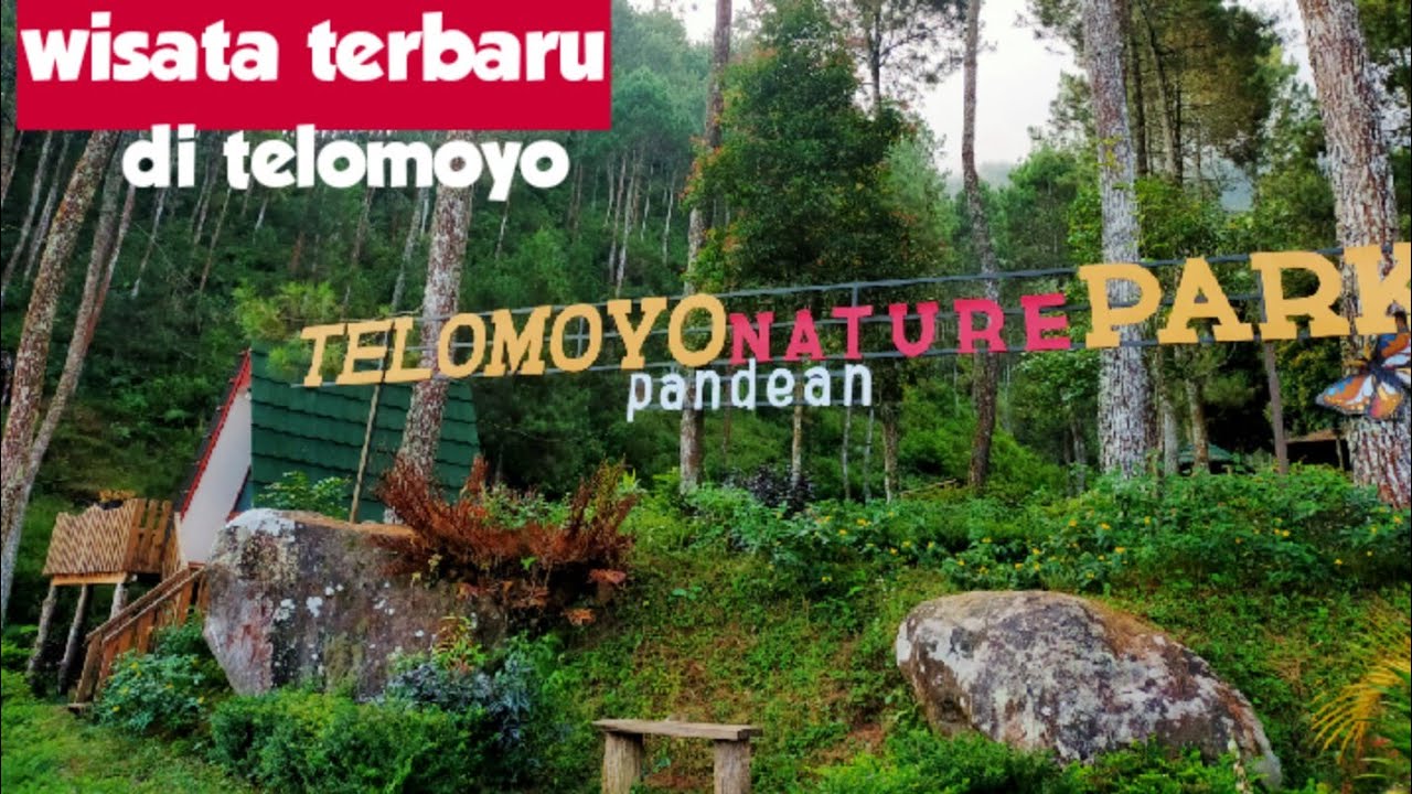 Telomoyo Nature Park: Menjelajahi Keindahan Alam di Lereng Gunung Merapi